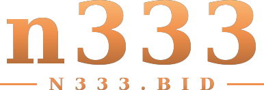 n333 logo